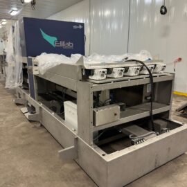 Elifab Blueberry Optical Sorting Line